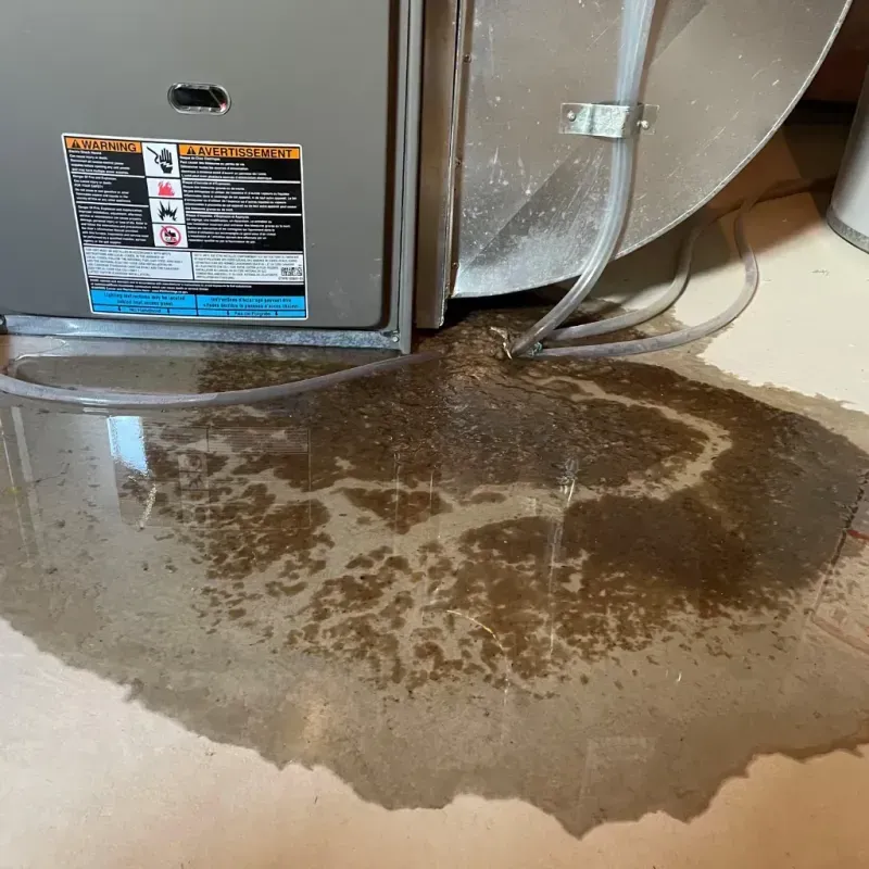 Appliance Leak Cleanup in Marengo, IL